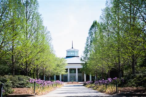 See The Most Unique Plants At Daniel Stowe Botanical Garden