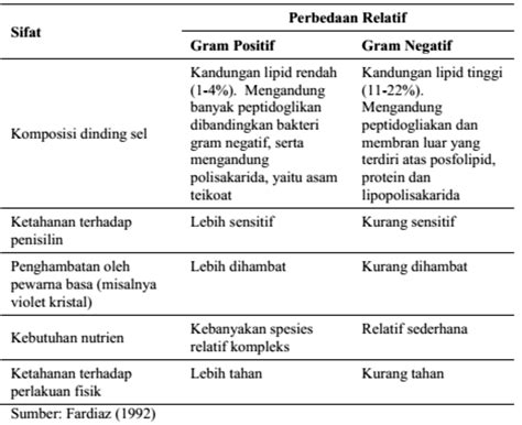 Perbedaan Bakteri Gram Positif Dan Gram Negatif - Homecare24