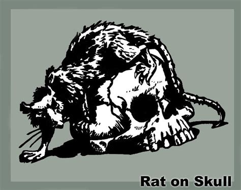 Rat on Skull by Devilish-Malacoda on DeviantArt