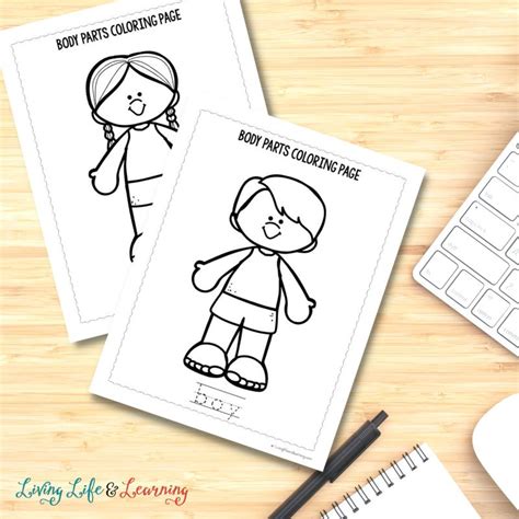 Fun and Educational Body Parts Coloring Pages for Kids