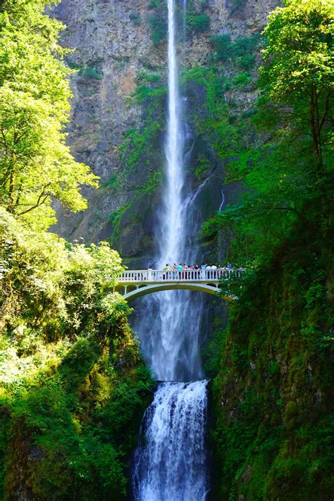 FotoFriday: Multnomah Falls - Nick's Travel Bug