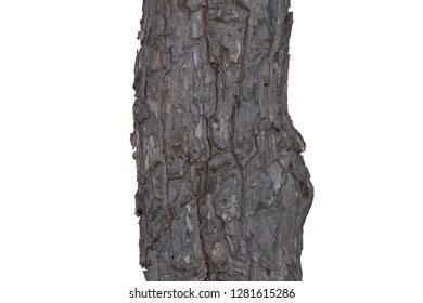 Broken Wood Texture Stock Photo 1281615286 | Shutterstock