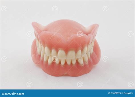 Dental plate stock image. Image of bridge, prosthetic - 31828579