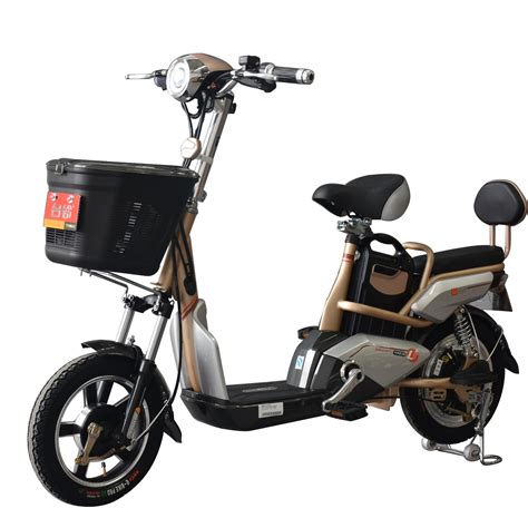 Long Distance Electric Bike with Removable Lithium Battery - China ...