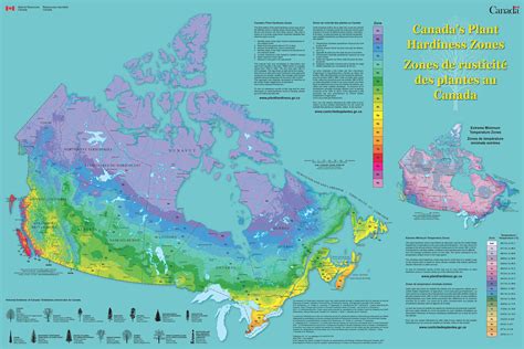 What Growing Zone is Edmonton?