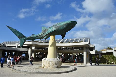 The Okinawa Churaumi Aquarium