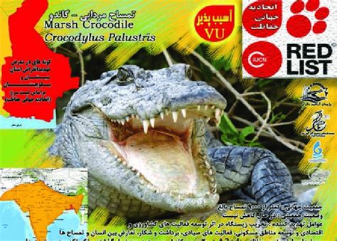 Poster highlighting the conservation status of the Marsh crocodile,... | Download Scientific Diagram