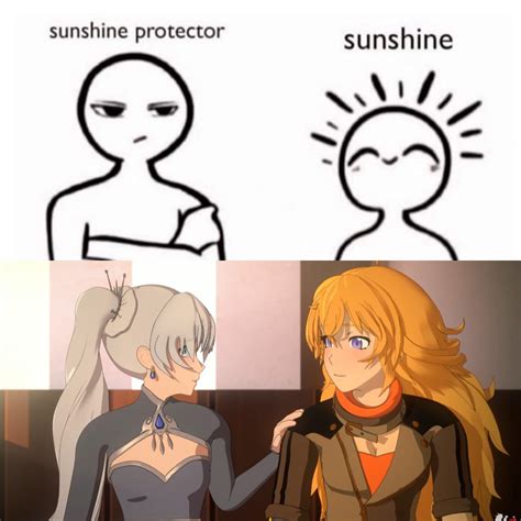 Freezerburn meme, don’t mess with the Sunshine Protector. : r/fnki