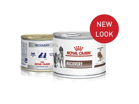 Royal Canin Recovery Wet (Feline & Canine) - Clive Cottage Vet Clinic