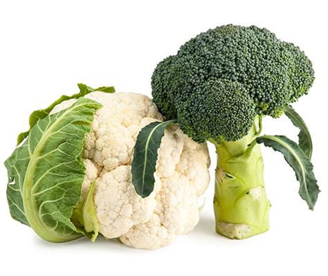 Cruciferous Vegetables - Emerge Gardens