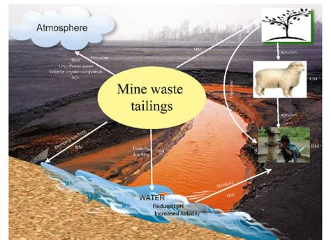 Sulfate-Reducing Bacteria as an Effective Tool for Sustainable Acid Mine Bioremediation ...