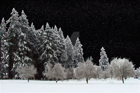 Snowy Night Scene by oregonshar on DeviantArt