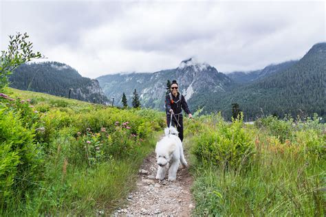 Ski Slope Hiking Near Snoqualmie Pass - Roadesque