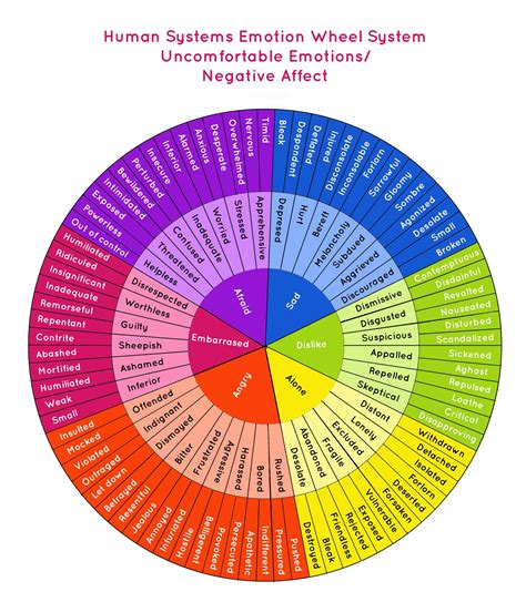Emotion Wheel: What it is and How to Use it to Get to Know Yourself