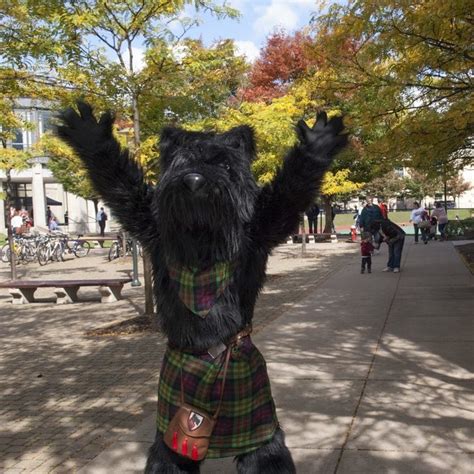 Scotty the Scottie Dog | Mascot Hall of Fame