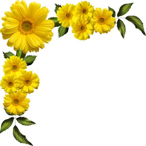 Download Yellow Flowers Border Png - Full Size PNG Image - PNGkit