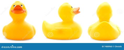 Yellow Rubber Duck Stock Photo - Image: 7488960