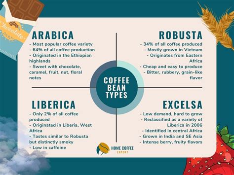 Types of Coffee Beans: List of Varietals [With Taste Profile]