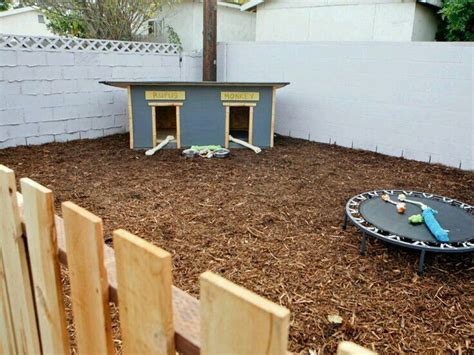 Pin by Alexis Esty on Landscapes | Dog backyard, Backyard dog area, Pet friendly backyard