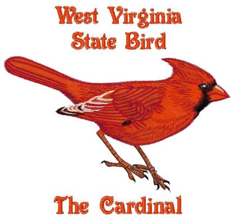 West Virginia State Bird Embroidery Design | AnnTheGran