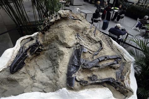 120 Million-Year-Old Fossil of Dinosaur With Complete ѕkeletoп and Feathers Discovered in China