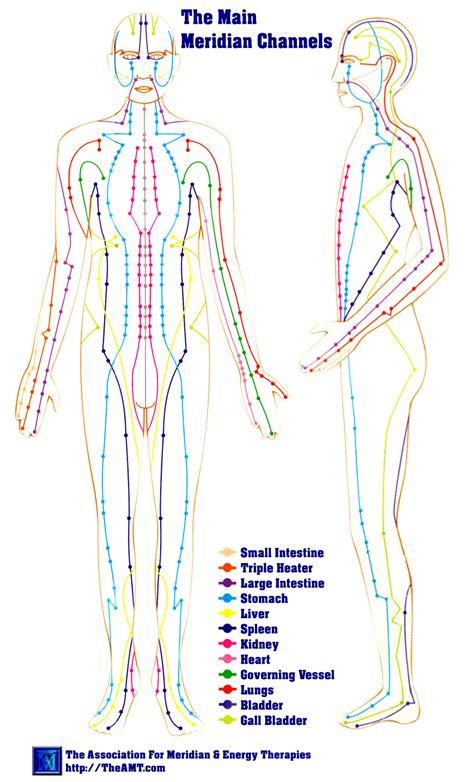 Energy Meridians | Acupuncture, Acupuncture charts, Chinese medicine