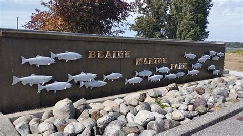 Blaine Photos - Featured Images of Blaine, WA - TripAdvisor