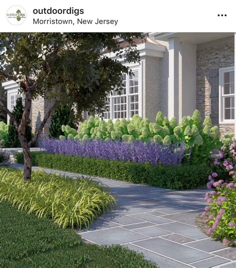 Hydrangeas and lavender Boxwood Landscaping, Front House Landscaping, Farmhouse Landscaping ...