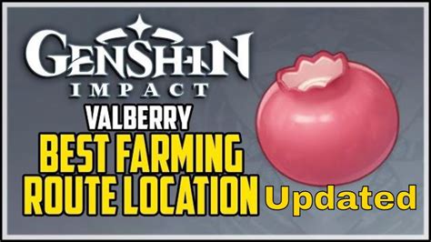 Effective Valberry Farming Route and Locations (Updated) Guide - Genshin Impact - YouTube