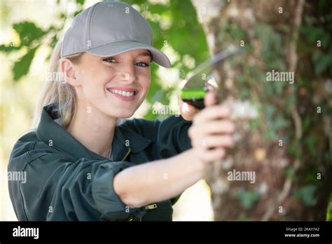 professional female lumberjack cutting oak tree Stock Photo - Alamy