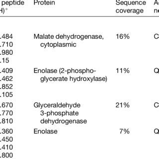 Protein identification by peptide mapping using MALDI-TOF MS followed ...