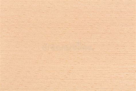 Beech Wood Texture on Macro. Stock Image - Image of formica, brown ...