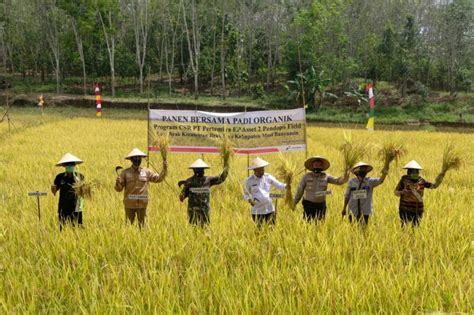 Kelompok Bina Tani Organik Jadi Pejuang Pangan | Republika Online