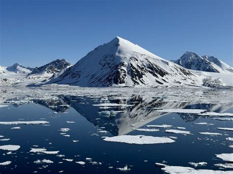 Experience the beautiful Arctic wildlife and snowy mountains