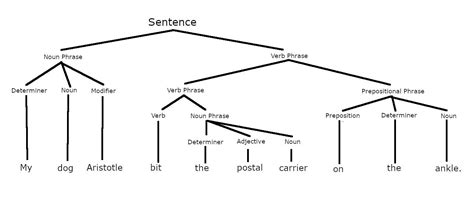 Constituent: Definition and Examples in Grammar