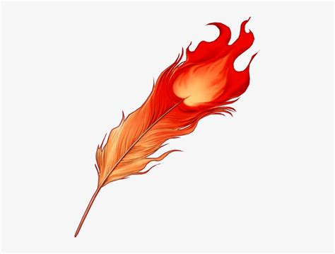 A Feather Of The Phoenix - Phoenix Feather - Free Transparent PNG ...