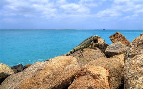 Oranjestad, Aruba HD Wallpapers / Desktop and Mobile Images & Photos