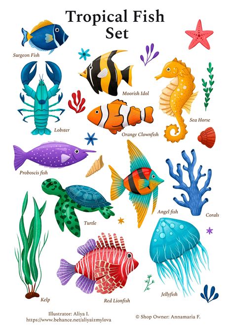 Digital Download Clipart Variety of Beautiful Tropical Fish Ready for a Digital Aquarium - Etsy UK