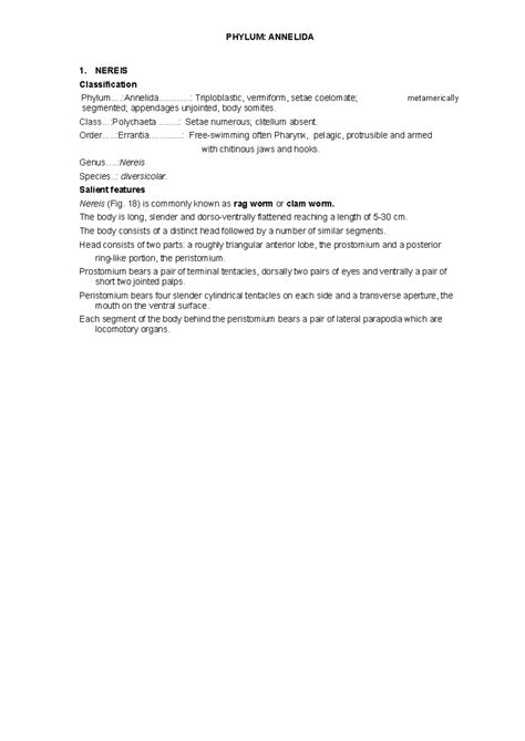 MBC 112 Practical 7 Phylum Annelida-1 - PHYLUM: ANNELIDA 1. NEREIS Classification - Studocu