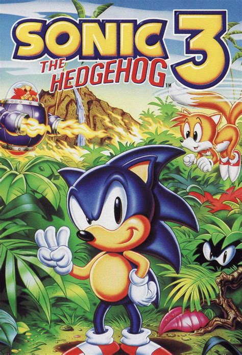 rolmanus's Review of Sonic the Hedgehog 3 - GameSpot