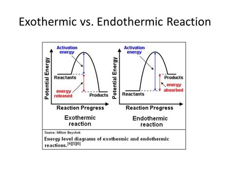 Understanding the Difference: Endothermic Reaction vs Exothermic Reaction Worksheet Answer Key ...