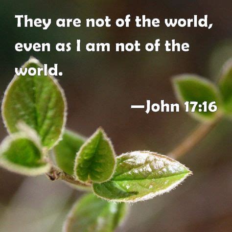 John 17:16 They are not of the world, even as I am not of the world. | Psalms, Word of god, Proverbs