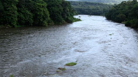 River Pamba, a veritable signature of a rich culture | Kerala Tourism