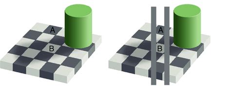 The Checkerboard Illusion. Although they appear different, blocks A and... | Download Scientific ...