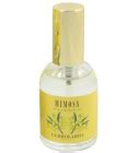 Mimosa perfume ingredient, Mimosa fragrance and essential oils Acacia decurrens var. dealbata ...