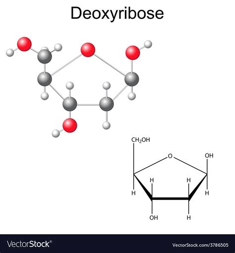 Deoxyribose Structural Formula | My XXX Hot Girl