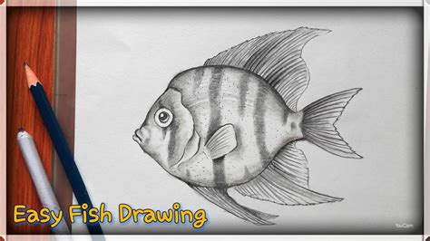 JurnalPilkada: [Get 25+] Fish Drawing Pencil Sketch Step By Step