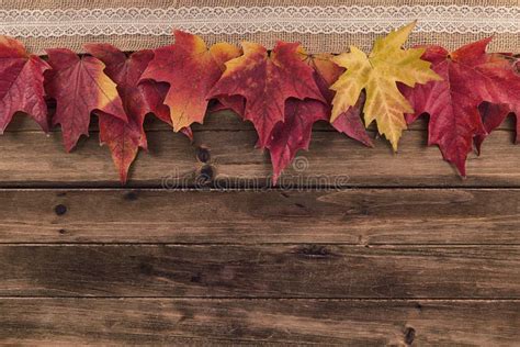 Fall and Autumn Maple Leaves Decoration on a Wooden Table. Stock Image - Image of empty, texture ...