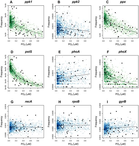 Generalized linear models of polyphosphate metabolism (A–C ...