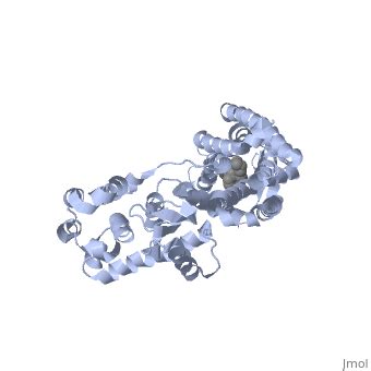 Delta opioid receptor - Proteopedia, life in 3D